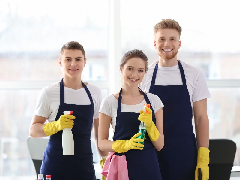 Professional cleaning team